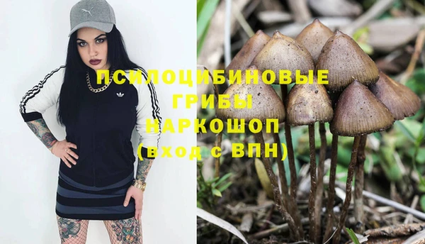 прущая мука Осташков