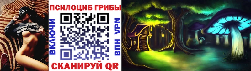 Купить закладки  Ярославль  Галлюциногенные грибы Magic Shrooms 